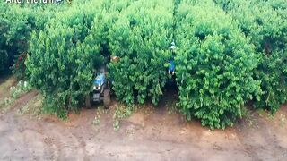 Modren agricultures