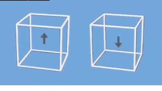 Color illusion