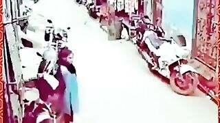 Funny dog and girl