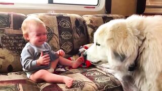 You Laugh You Lose ???? - The Funniest Baby Video Series Of The Week ????????