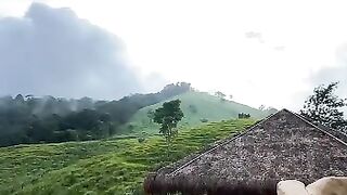 NATURE BEAUTY