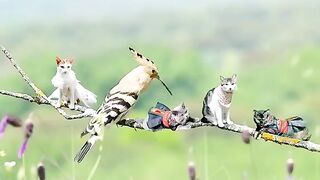 Cute animals video part 3 #trending #shorts#febspot