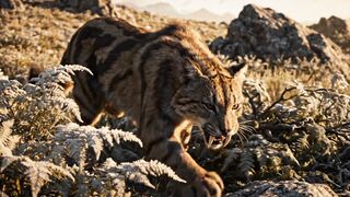Smilodon vs African Lion — The Ice Age Predator That Could Overpower a Lion | WildLore Central