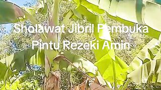 Video 719