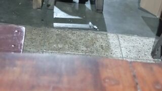 The cat 5