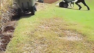 When luck decides to take the day off!