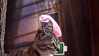 SCARED CAT