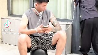 Funny videos