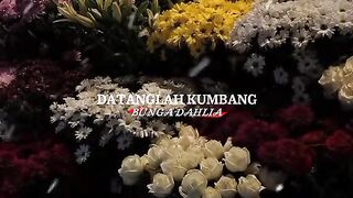 Bunga dahlia