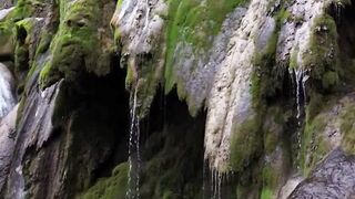 Beautiful nature 371