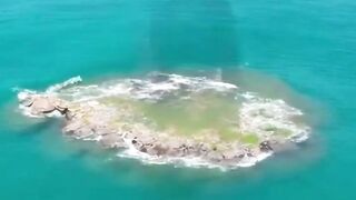 Pulau gorila