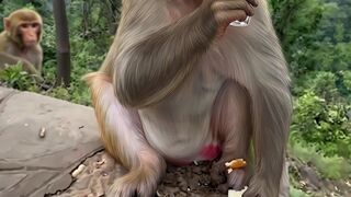 FUNNIEST MONKEY EVER! Watch This Clever Primate Enjoy a Drink
