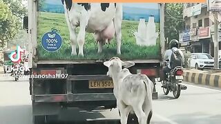 Hay Maa