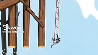 Tom e Jerry 15