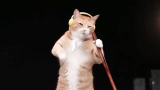 밀대 잡으랬더니 무대를 잡아버림 😼🕺