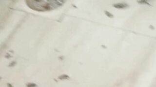 Cockroach in kitchen