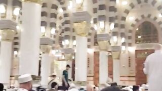 Pray in Madinah
