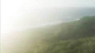 nature's insane diggers