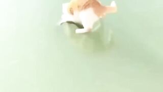 Look at this cat!
