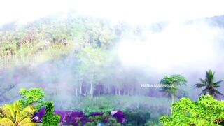 Whispers of the Misty Highlands