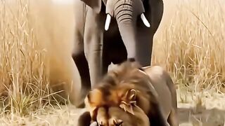 The elephant's strength is extraordinary.