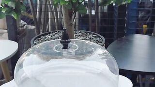 Cake bakeing tray