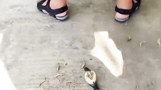 Funny video