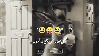 Teacher ny insan bola