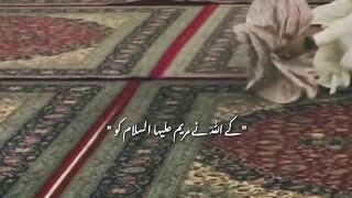 About Hazrat Mariam AS