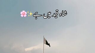 Pakistan flag
