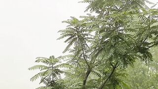 Peaceful Morning in Pakistan 🇵🇰 | Beautiful Nature, Fresh Weather & Morning Vibes 🌿☀️
