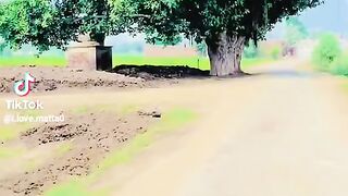 Old Memories and Pak Vs Indian