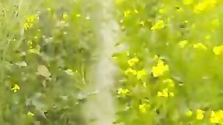 Hello friends welcome to my channel