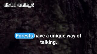 Little-Known Secrets of the Forest! Forests Can "Talk"
