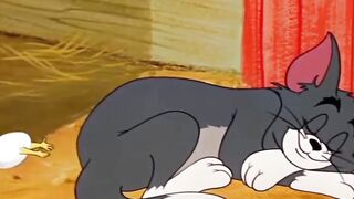 Tom Finds Jerry’s Tiny Mouse Family… His Reaction Is PRICELESS! 😂