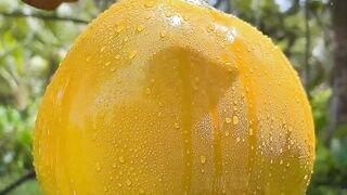 Coconut cutting ASMR