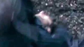 Do You Know This Movie With Hugh Jackman?