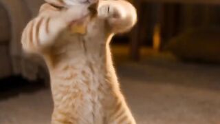 Weekend moods 2
