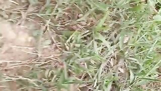 Mancing ikan di kolam