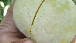 ​"Bikin Ngiler! Proses Iris Mangga Super Jumbo Daging Tebal"