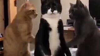Mantap sekali Ming3x
