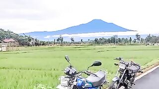Rx King Blue