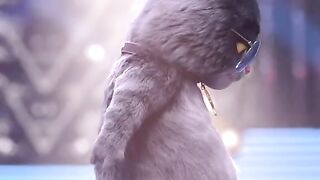 Michael Jackson style cat