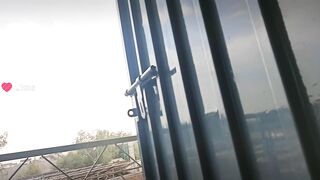 Nature views 2