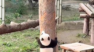 Such a climbing skill