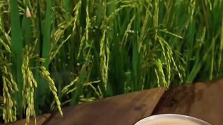 Kopi malam di sawah