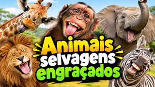 ANIMAIS SELVAGENS ENGRAÇADOS