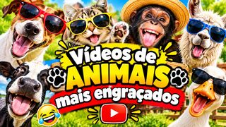 VÍDEO DE ANIMAIS MAIS ENGRAÇADOS