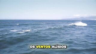 O Equilíbrio do Pacífico