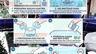 Tips for dealing with travel stress in catfish fry